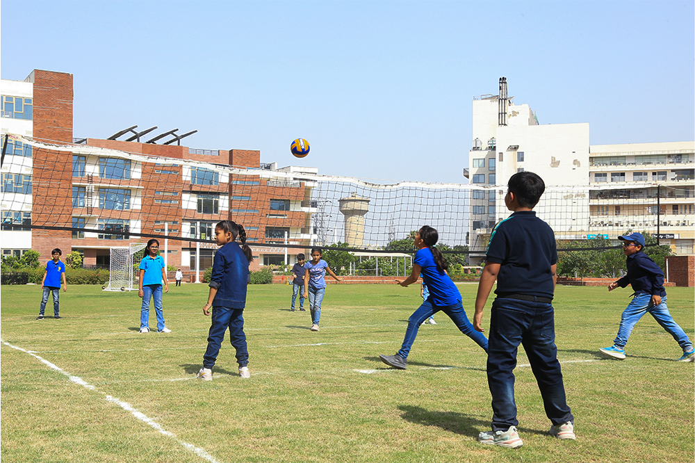 Champion's Sports Zones